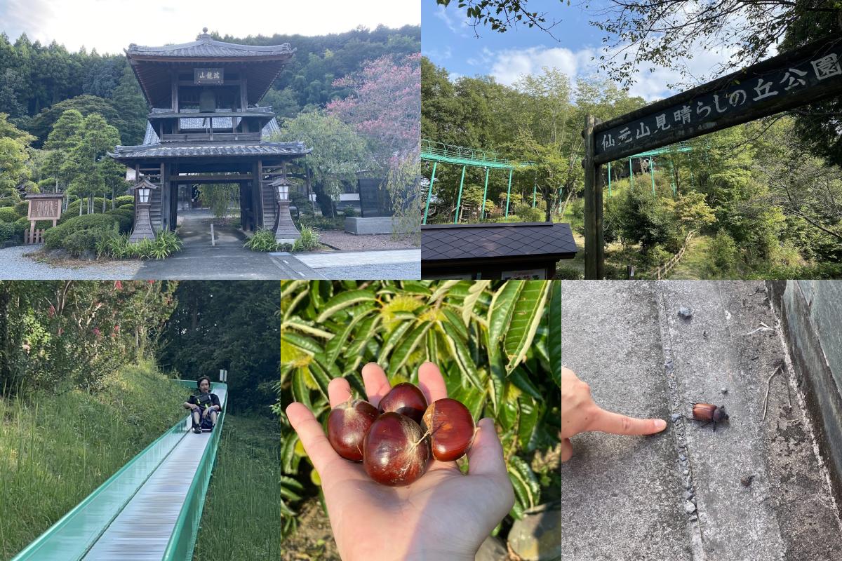 Un endroit idéal pour profiter de la nature - Mt Sengen Hill View Park